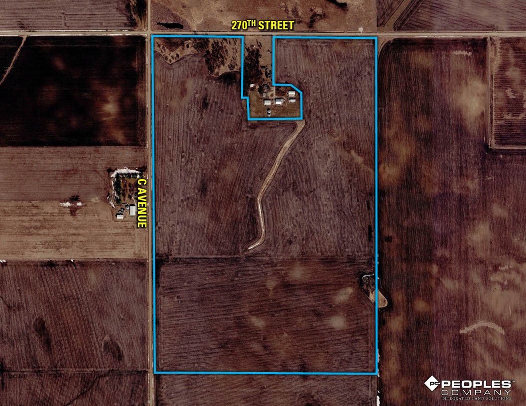 Listing Photo: Greene-County-Iowa-Land-Available-Scranton-Iowa-229-Acres-19614 (15)